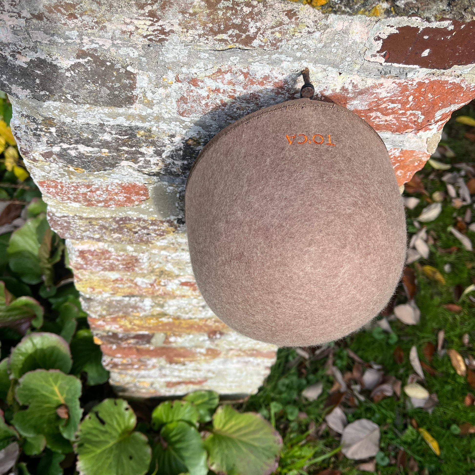 Brown spherical object on a textured stone surface with greenery in the background
