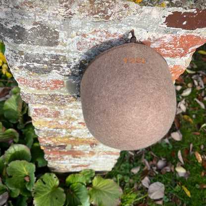 Brown spherical object on a textured stone surface with greenery in the background